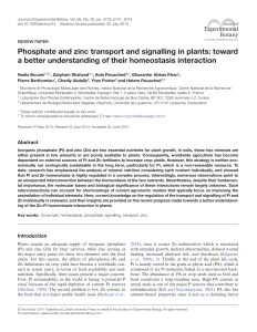 Phosphate and zinc transport and signalling in plants