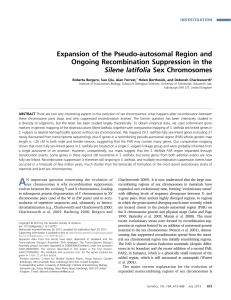Expansion of the Pseudo-autosomal Region and Ongoing