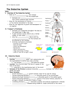 Endocrine fill-in guided notes