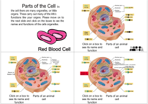 Parts of the Cell In