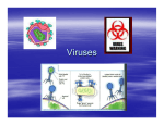 Viruses - GertzScience