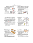 Slides (pdf format)