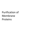 BCM 6200 - Purification des proteines membranaires