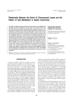 Relationship Between the Extent of Chromosomal Losses and the