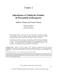 Inheritance of Aldehyde Oxidase in Drosophila melanogaster