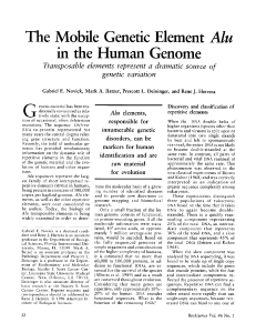 The Mobile Genetic Element Alu in the Human Genome
