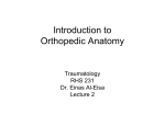 Introduction to Orthopedic Anatomy