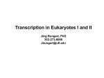 Transcription in Eukaryotes I and II