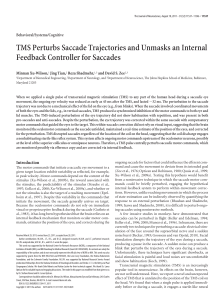 TMS Perturbs Saccade Trajectories and Unmasks an Internal