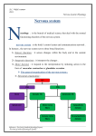 Nervous system