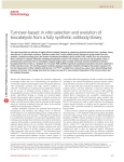 Turnover-based in vitro selection and evolution of biocatalysts from