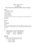 12 RNA Activity