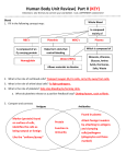 Human Body Unit Review| Part II (KEY)