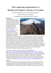 Glacial PhD opportunity on Ruapehu volcano