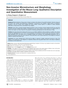 Non-Invasive Microstructure and Morphology