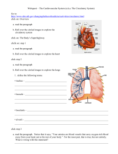 Webquest – The Cardiovascular System