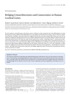 Bridging Cytoarchitectonics and Connectomics in Human Cerebral