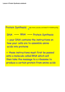 Lesson 4 Protein Synthesis.notebook