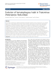 Evolution of hematophagous habit in Triatominae