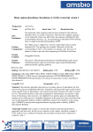 Homo sapiens glucokinase (hexokinase 4) (GCK), transcript variant 1