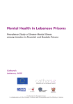 Mental Health in Lebanese Prisons - Catharsis: Lebanese Center for