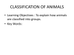 CLASSIFICATION OF ANIMALS - All Saints Academy Dunstable
