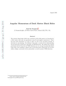 Angular Momentum of Dark Matter Black Holes