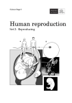Human reproduction - NSW Department of Education