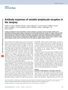 Antibody responses of variable lymphocyte receptors in the lamprey