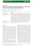 Systems and synthetic biology approaches to alter plant cell walls