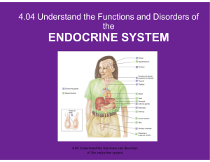 fd endocrine system