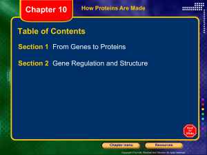 Translation Section 1 From Genes to Proteins Chapter 10