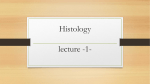 Introduction to histology and epithelial tissue