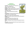 Vocabulary List (Plant Parts and Processes) chlorophyll