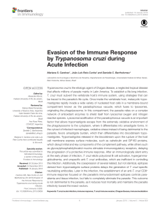 Evasion of the Immune Response by Trypanosoma cruzi during