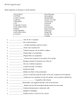 Ch 6 Organelles