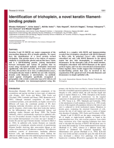 Identification of trichoplein, a novel keratin filament