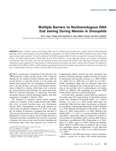 Multiple Barriers to Nonhomologous DNA End Joining