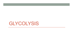 GLYCOLYSIS