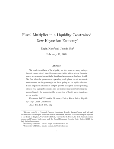 Fiscal Multiplier in a Liquidity Constrained New Keynesian Economy∗