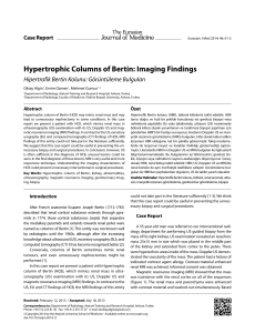 Hypertrophic Columns of Bertin: Imaging Findings