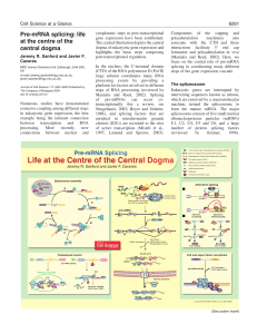 Pre-mRNA splicing: life at the centre of the central dogma