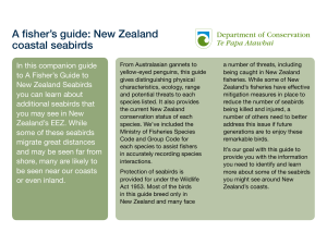 A fisher`s guide: New Zealand coastal seabirds