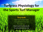 Turfgrass Physiology for the Sports Turf Manager