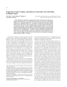 Expression of and Cytokine Activation by Eschevichia coli Curi