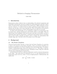 Methods in Imaging Chromosomes