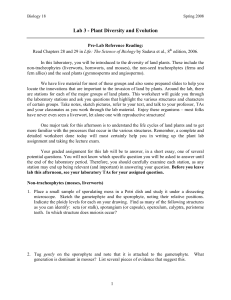 Lab 3 - Plant Diversity and Evolution