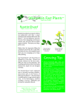 Rosette-dwarf - Fast Plants
