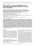 SWP73 Subunits of Arabidopsis SWI/SNF