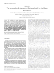 The monosaccharide transporter(-like) gene family in Arabidopsis